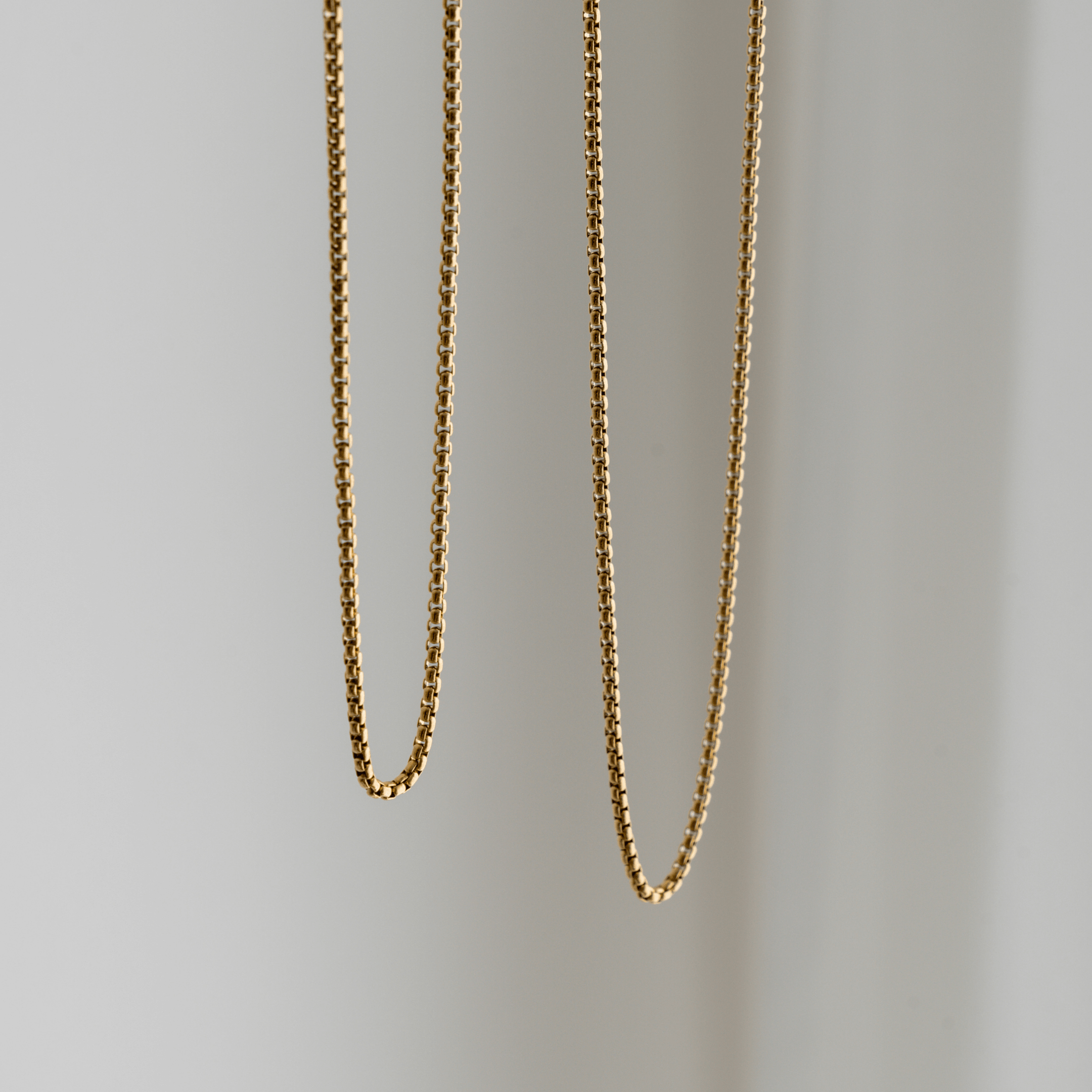 Essential Chain Necklace - Gold - La Musa Jewellery