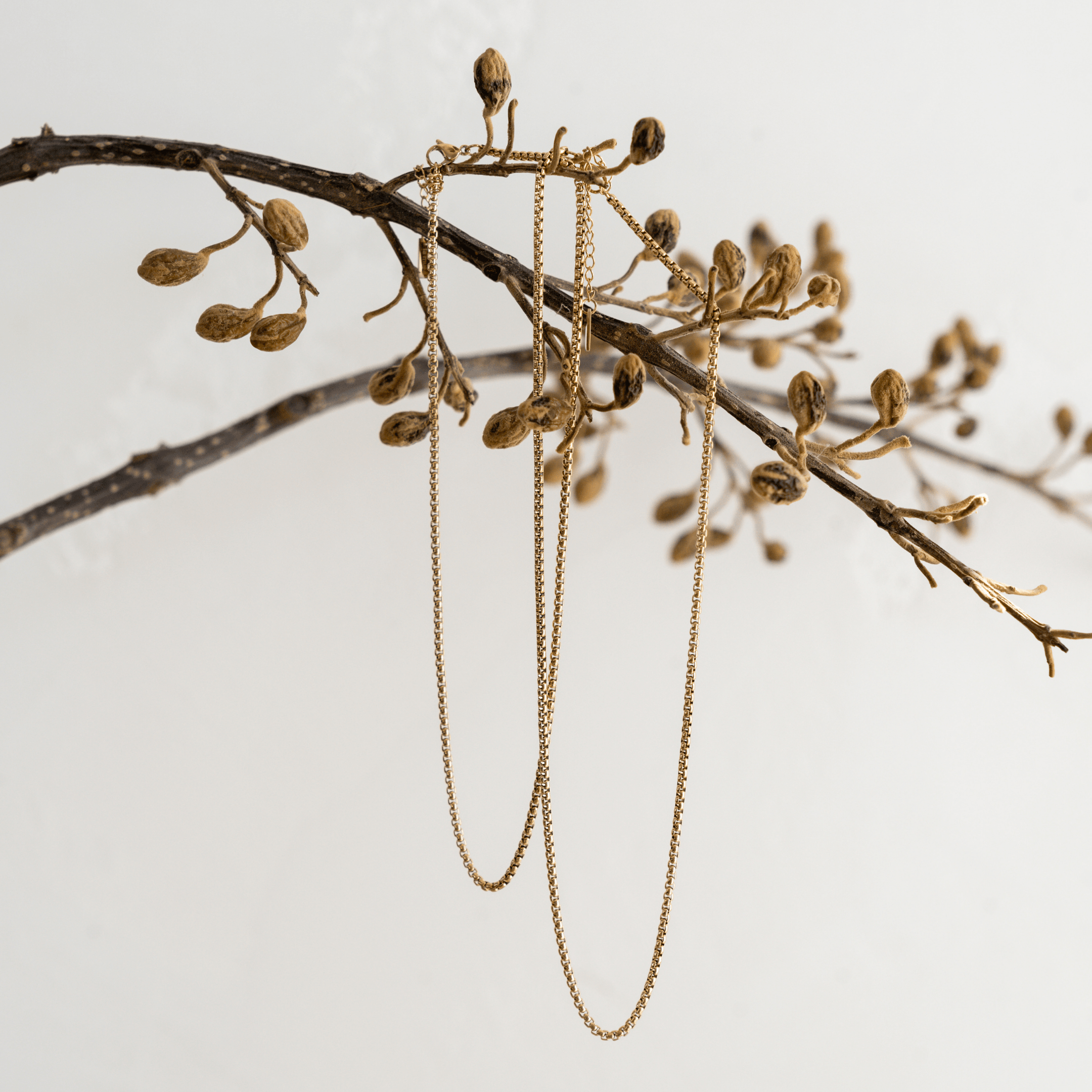 Essential Chain Necklace - Gold chain necklaces for women - waterproof jewellery - La Musa Jewellery