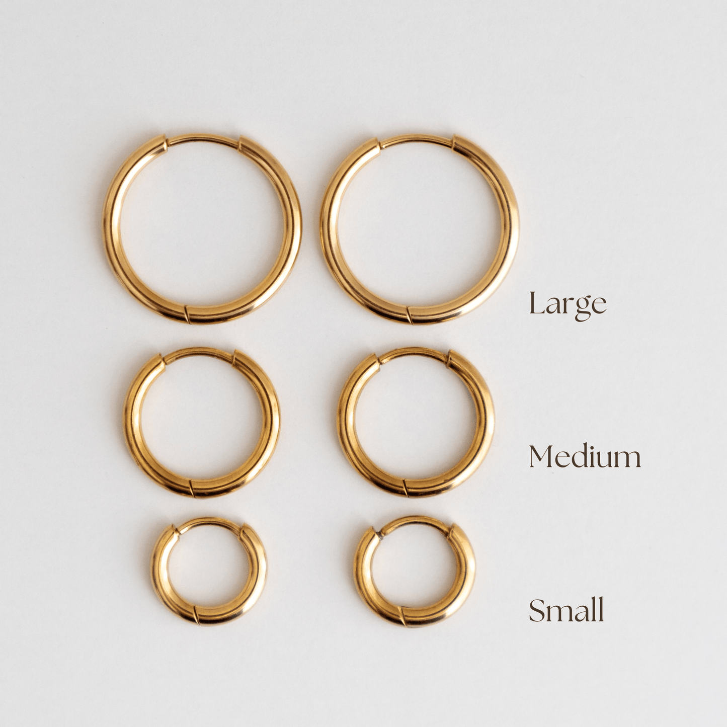 Everyday Hoops - Gold - La Musa Jewellery