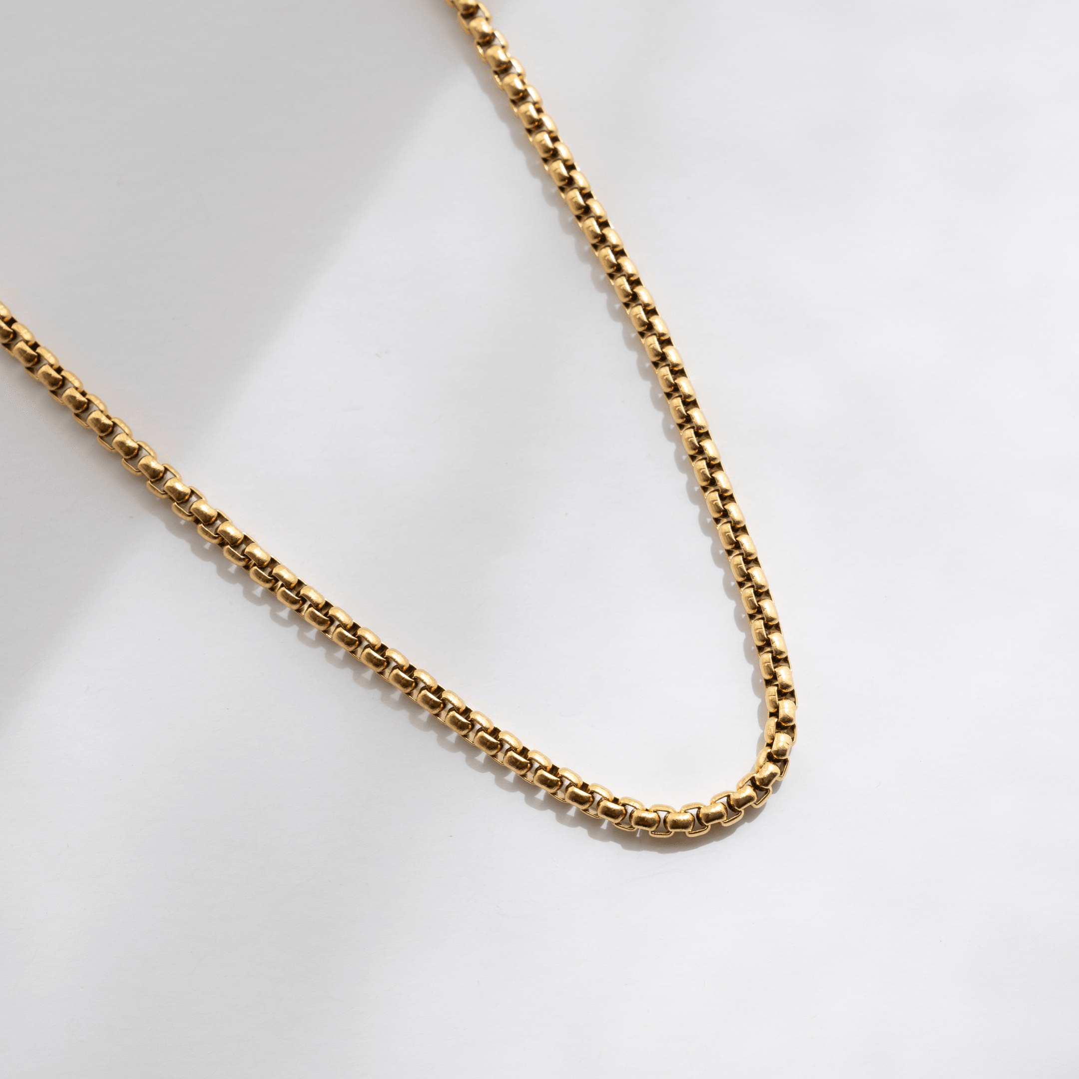 Essential Chain Necklace - Gold - La Musa Jewellery